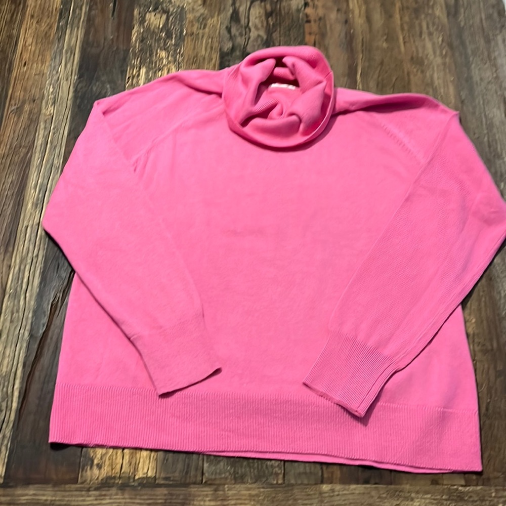 NWOT Carlson Turtleneck (M)